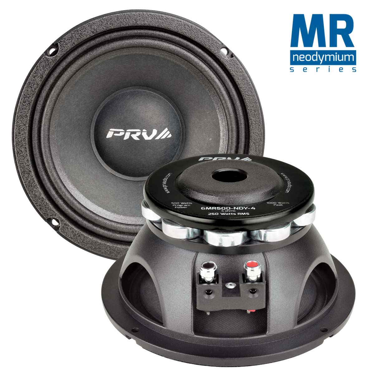 Speaker 6"